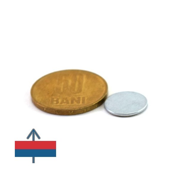 Неодимов магнит диск 13 x 1 мм 4