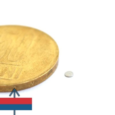 Magnet neodim disc 02 x 0.3 mm 1
