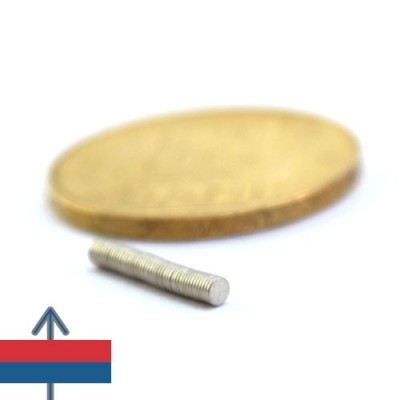 Magnet neodim disc 02 x 0.3 mm 4