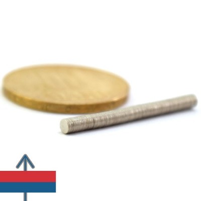 Magnet neodim disc 2.5 x 0.3 mm 4