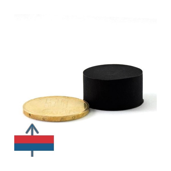 Magnet neodim disc 22 x 11.4 mm cauciucat 2