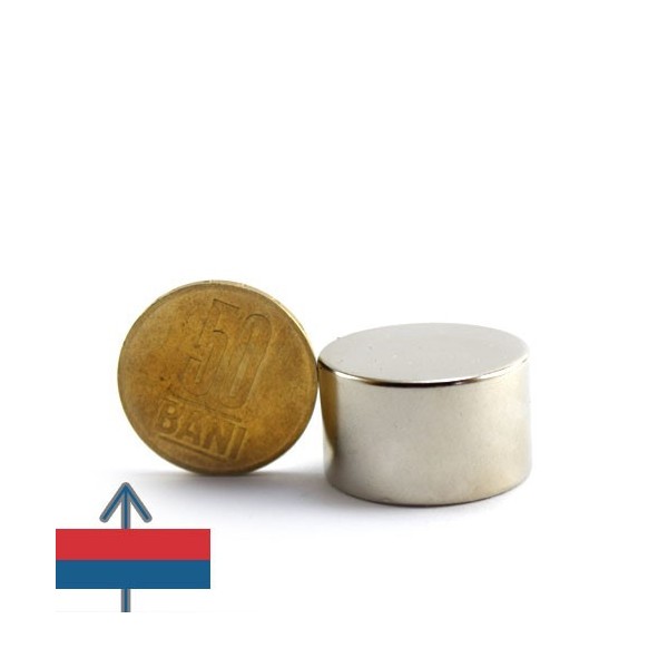 Неодимов магнит диск 25 x 15 мм 5