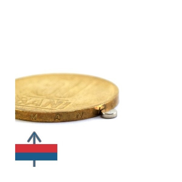 Magnet neodim disc 03 x 01 mm 2