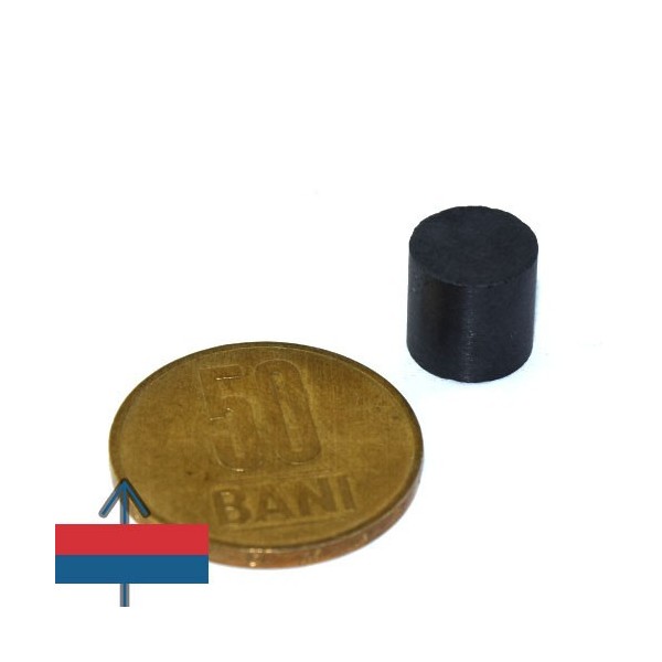 Феритен магнит диск 10 x 10 мм 1