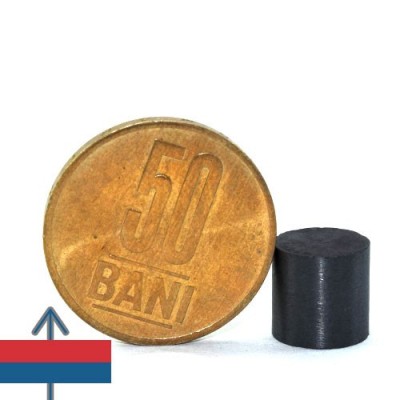 Magnet ferita disc 10 x 10 mm 3