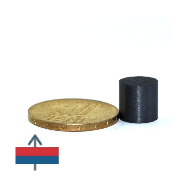 Magnet ferita disc 10 x 10 mm 4