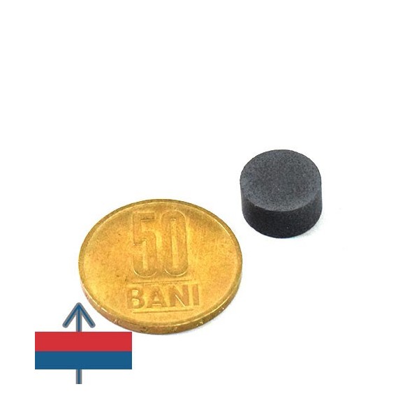 Magnet ferita disc 12 x 6 mm 1