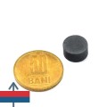 Феритен магнит диск 12 x 6 мм 1