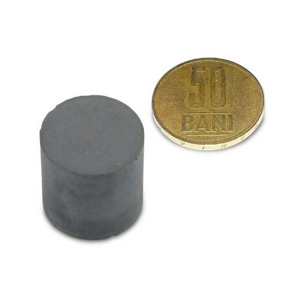 Феритен магнит диск 20 x 20 мм 1