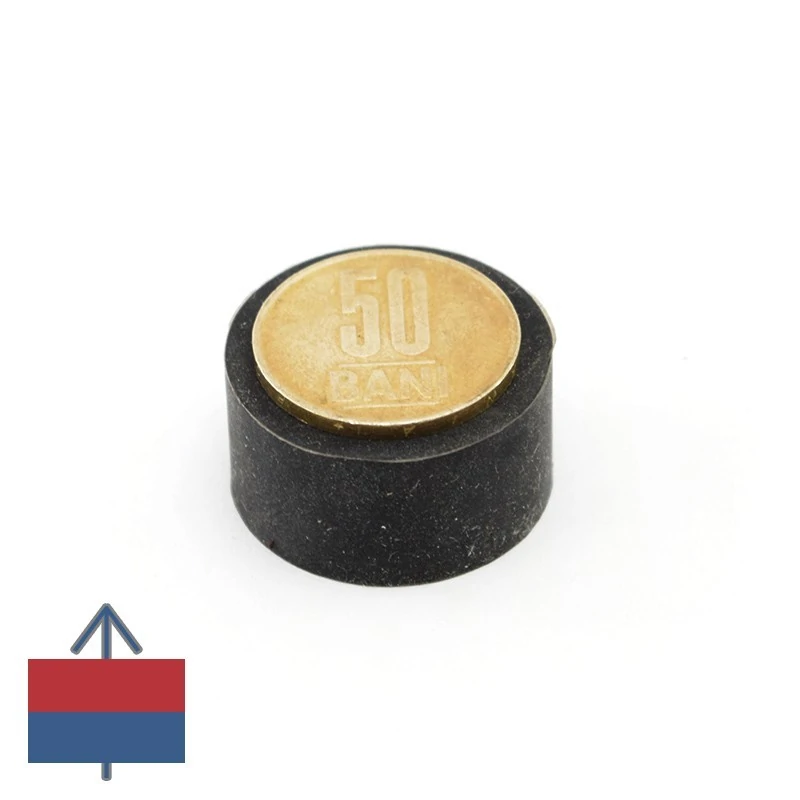 Magnet neodim disc 29 x 15 mm cauciucat - N45 cu moneda de 50 bani peste