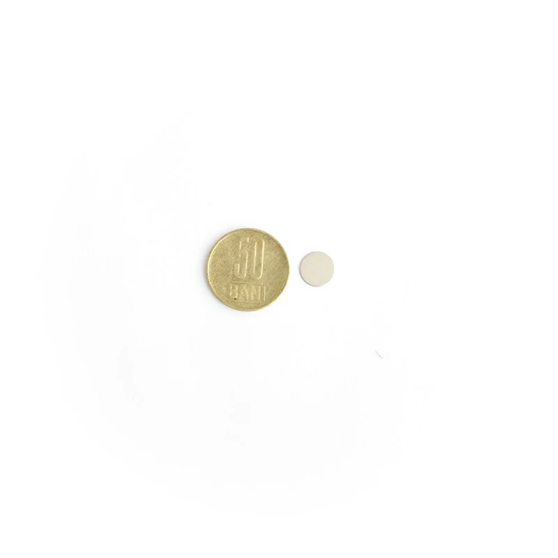 Magnet neodim disc 10 x 0.5 mm cu moneda de 50 bani
