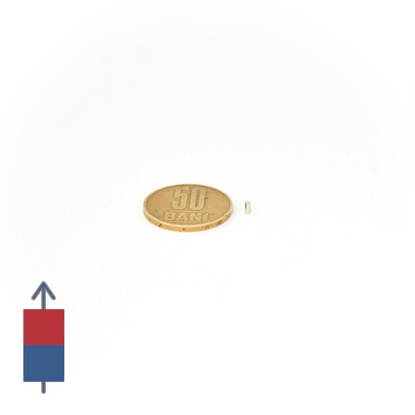 Неодимов магнит цилиндър 1,5 x 3 мм с монета 50 стотинки