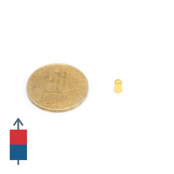 Magnet neodim cilindru 3 x 5 mm aurit magnetizare si 50 bani