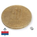 Неодимов магнит диск 2,5 x 1 мм N52 - с намагнитване и монета 50 стотинки