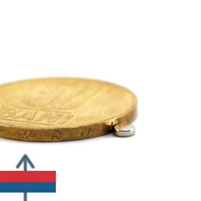 Magnet neodim disc 03 x 01 mm 2