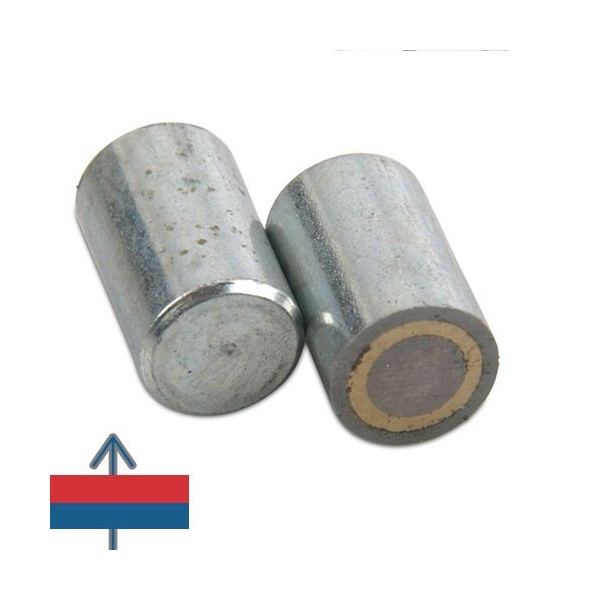 Magnet AlNiCo oala D10 mm 2