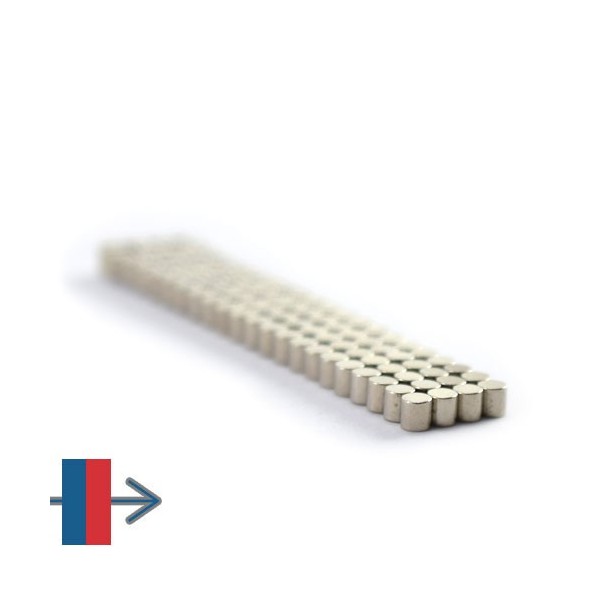 Magnet neodim cilindru 02 x 02 mm 10