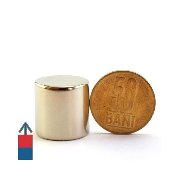 Magnet neodim cilindru 20 x 20 mm 3