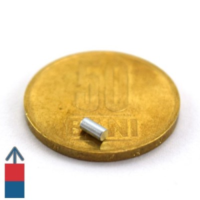 Magnet neodim cilindru 02 x 04 mm 4