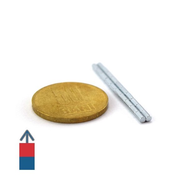 Неодимов магнит цилиндър 2 x 4 мм 6