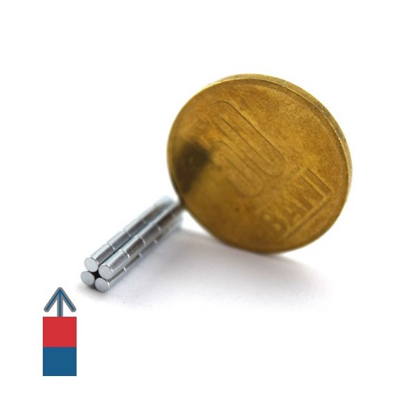 Magnet neodim cilindru 02 x 04 mm 8