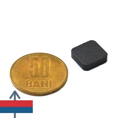 Magnet ferita bloc 12 x 12 x 4 mm 1