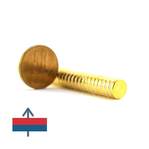 Magnet neodim disc 10 x 02 mm 12