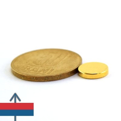 Magnet neodim disc 10 x 02 mm 9
